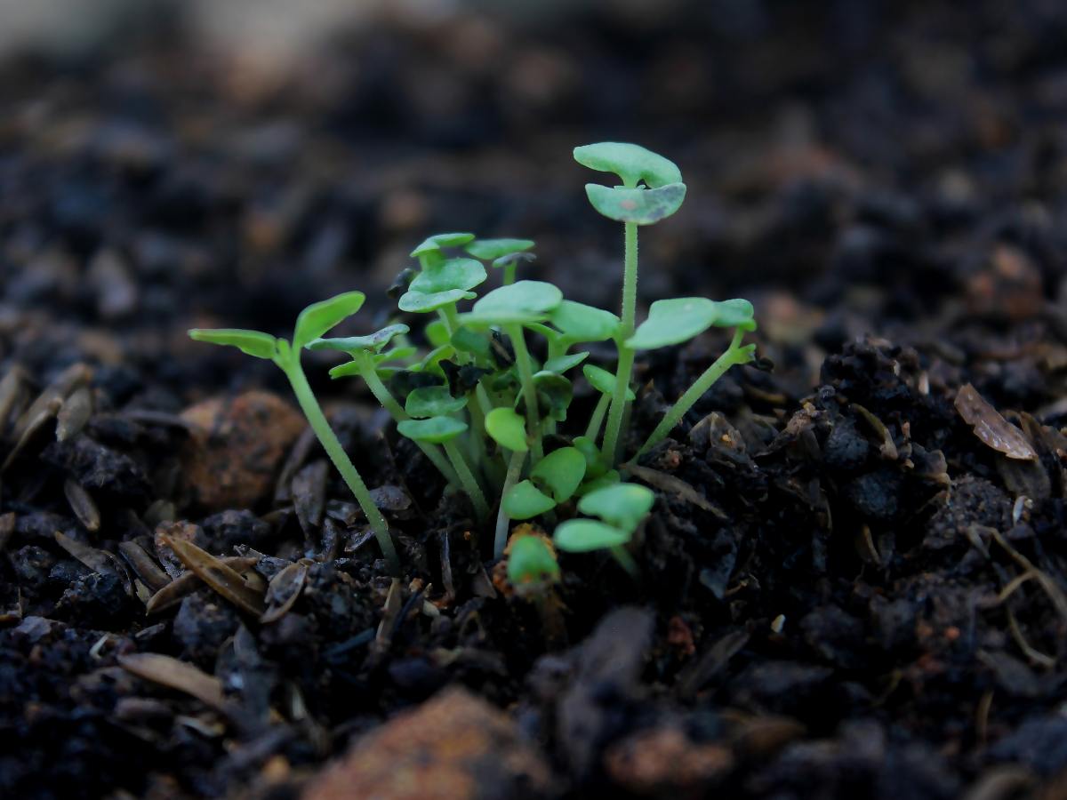 Cultivating Creativity (Part&nbsp;2)
