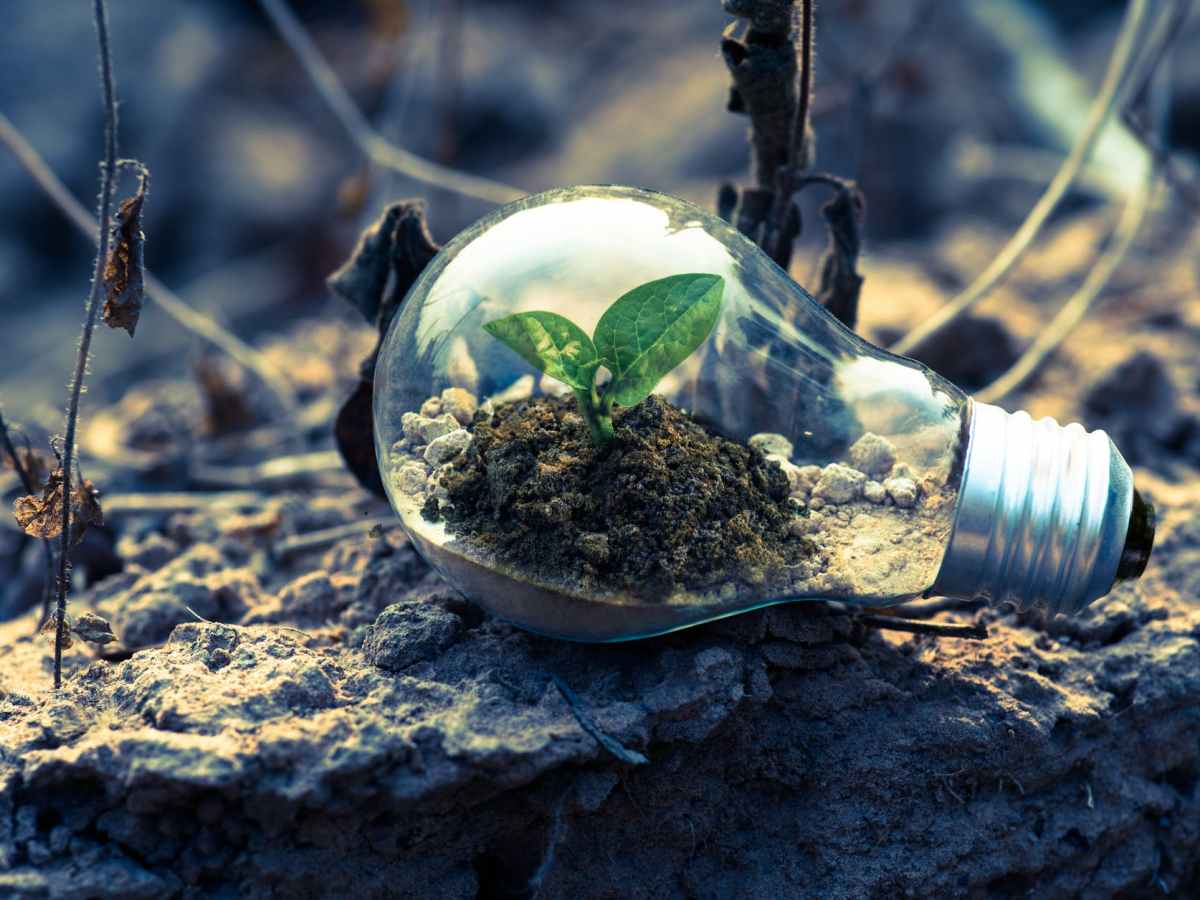 Cultivating Creativity (Part&nbsp;4)
